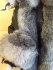 Moncler jacket fox fur 